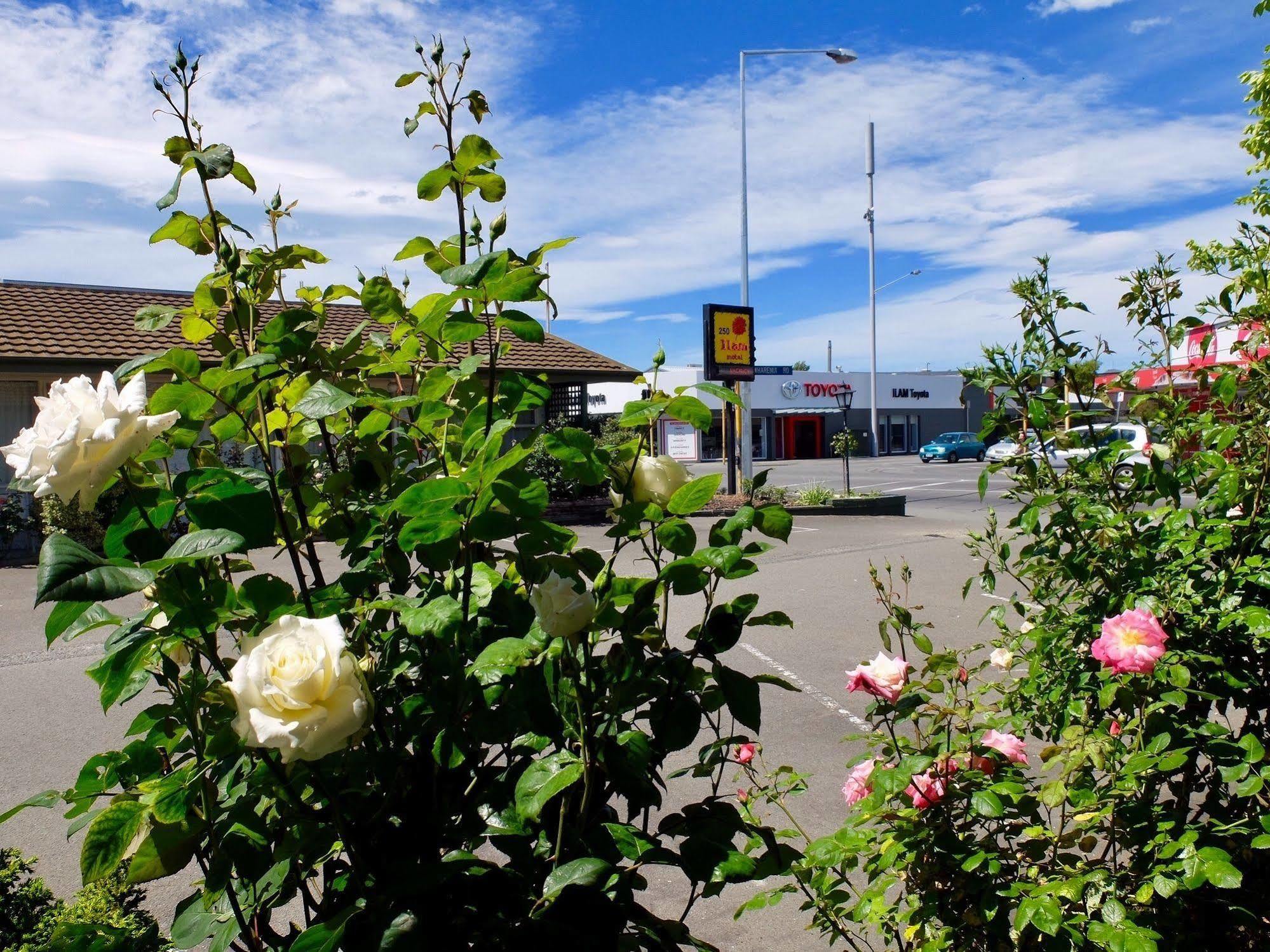 Ilam Motel Christchurch Esterno foto